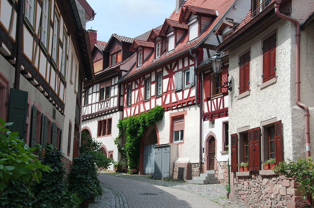 Altbau­sanierung bei Elektro Börner GmbH in Themar